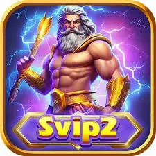 svip2 - GPS Offline Maps APK